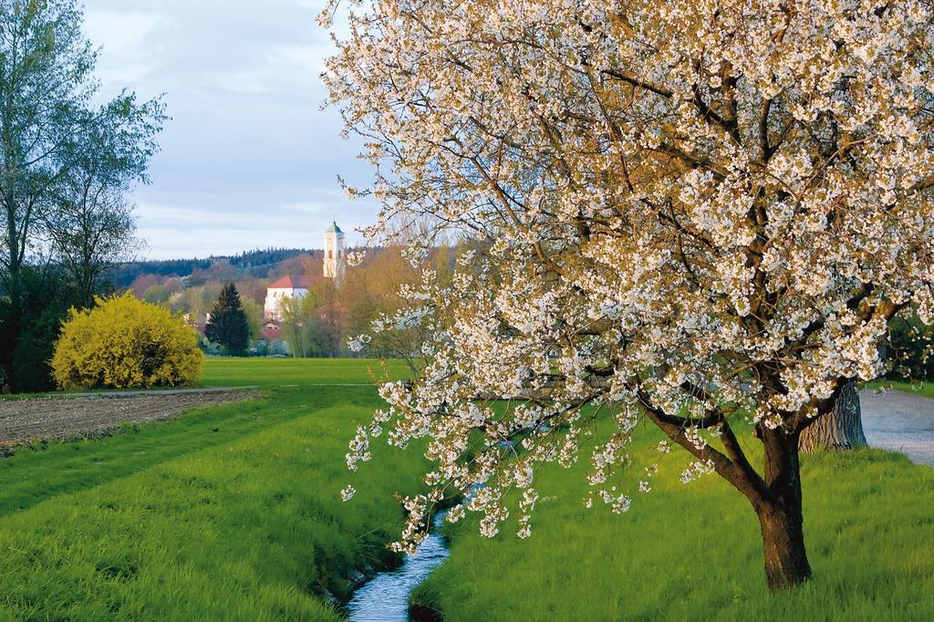 Hotel Sonnenhof บัดเบียร์นบาค ภายนอก รูปภาพ